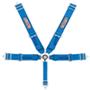 Image of T  G-Force Pro JR Cam-lock 16.1 5pt Harness BLACK image for your Rice
